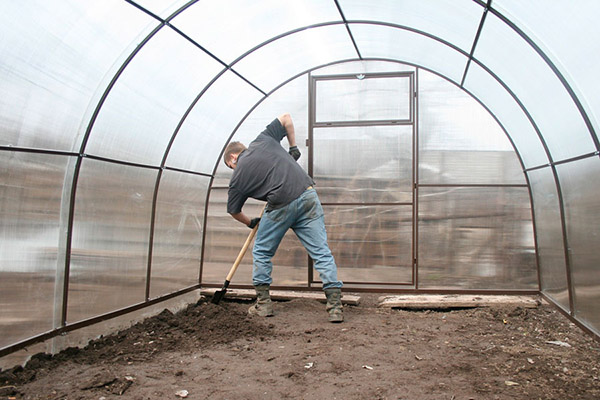 Digging soil in a greenhouse