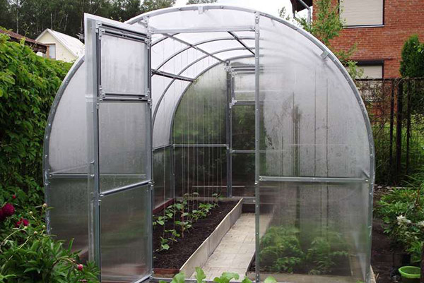 Greenhouse with cucumbers