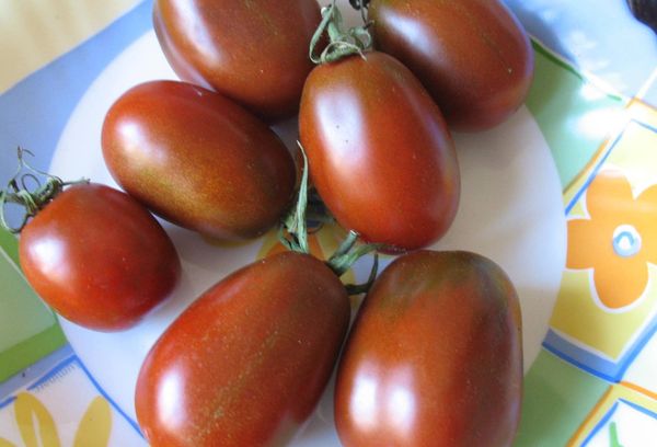 Tomatfrukt på en platta
