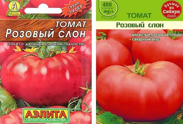 Tomatfrön i en förpackning