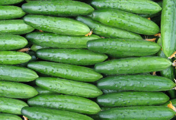 April cucumbers