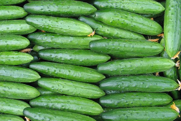 April cucumbers