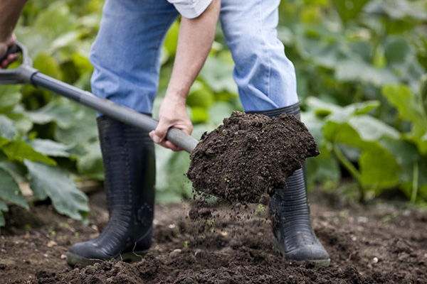 Enrichment of garden soil