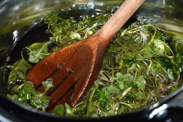Cooking a decoction of celandine