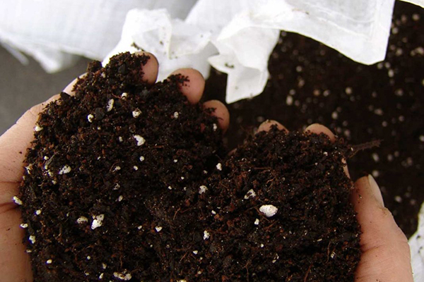 Подготовка на почвата за разсад от пипер