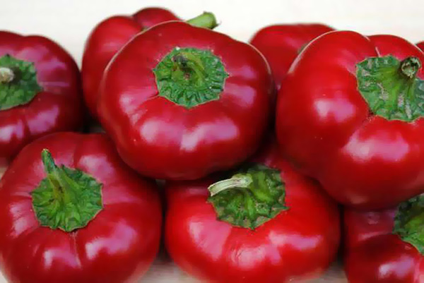 Peppers variety Kolobok