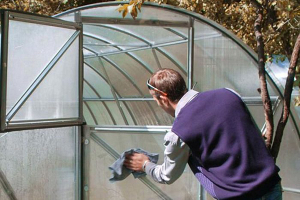 A man washing a greenhouse