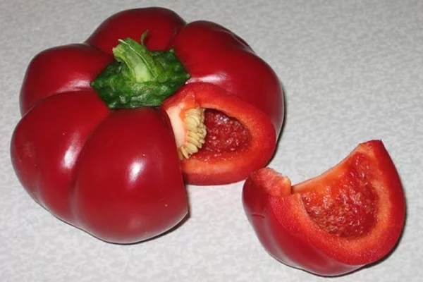 Gogoshara peppar frukt