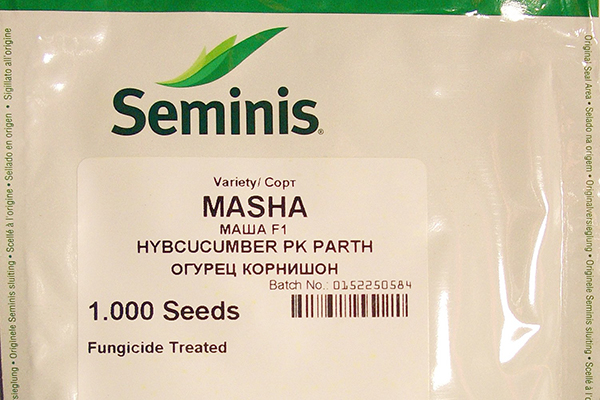 A packet of cucumber seeds Masha
