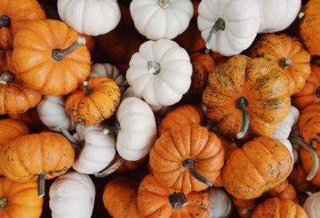 Calabaza de diferentes variedades.