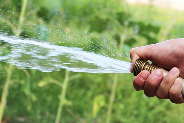 Tuinslang voor bewatering