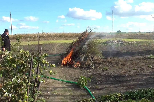 Quema de residuos vegetales en el jardín