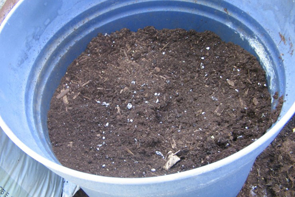 Soil in a barrel