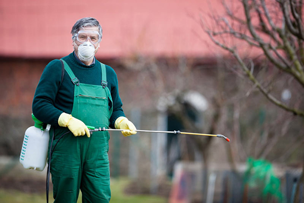 Man in a respirator and gloves sprays a tree