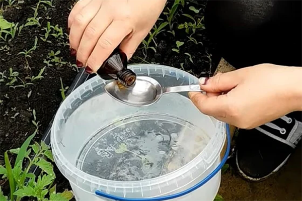 Preparación de fertilizante de amoníaco.