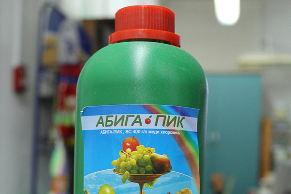 Fungicide Abiga-Peak