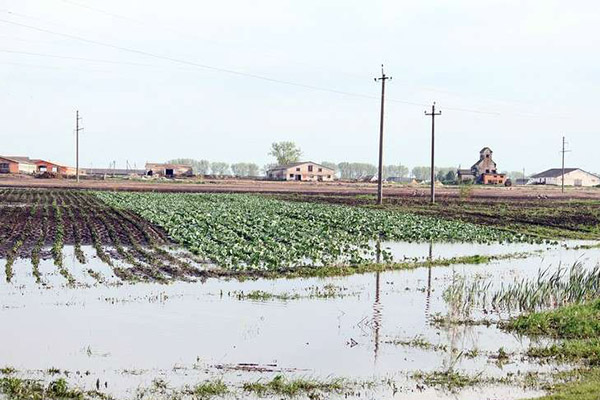 Water-filled vegetable gardens