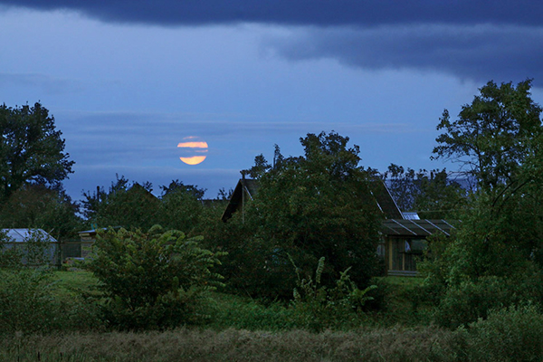 Луна в селото