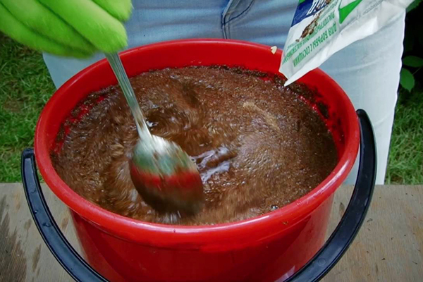 Preparation of infusion of tobacco dust