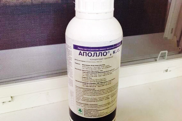 Apollo Acaricide Bottle