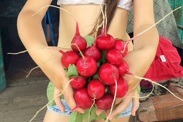 Girl holding a bunch of radishes