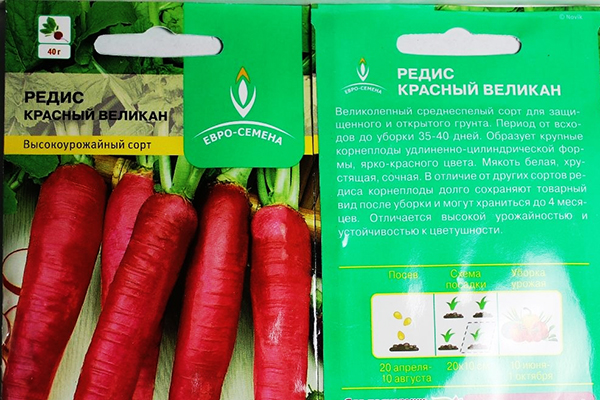 Red Giant Radish Seed Pack