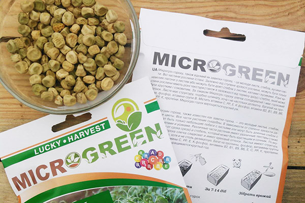 Pea seeds for microgreens