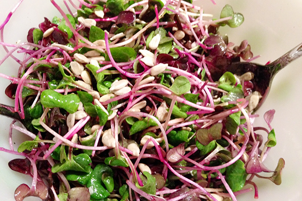 Microgreen radish salad
