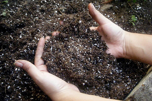 Soil with mineral fertilizers