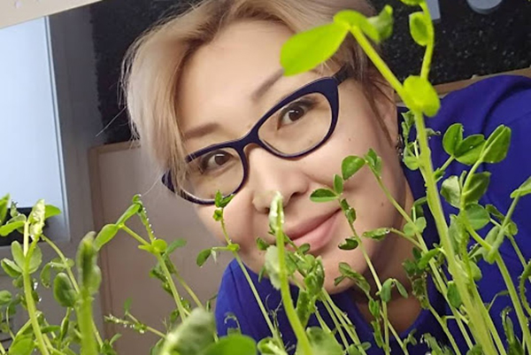 Woman grows microgreen peas