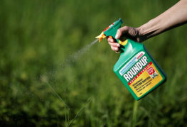 Postrek trávy herbicídom
