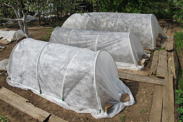 Greenhouses made of agrofibre on arches