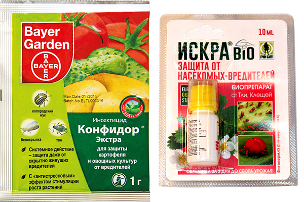 Insecticides Confidor Extra and Iskra Bio