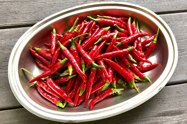 Spicy pepper