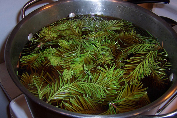 Preparation of horsetail decoction