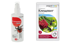 Packaging options for the drug Kleschevit