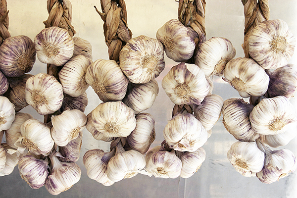 Garlic in braids