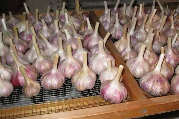 Storing garlic on a grid