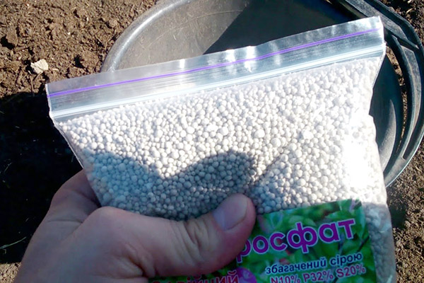 Superfosfát pre aplikáciu na pôdu v záhrade